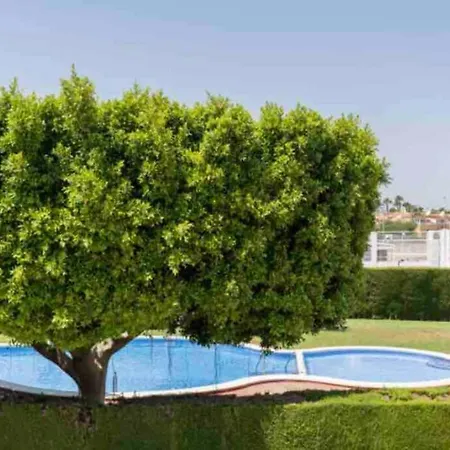 Lägenhet Acogedor Apartamento Con Piscina Cerca A La Playa Torrevieja