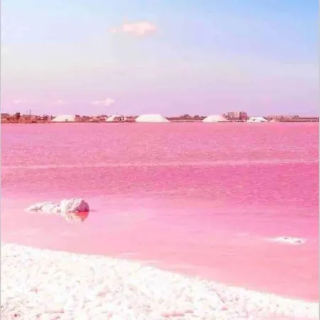 Apartment Acogedor Apartamento Con Piscina Cerca A La Playa Torrevieja