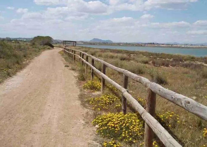 Acogedor Apartamento Con Piscina Cerca A La Playa * 托雷维耶哈